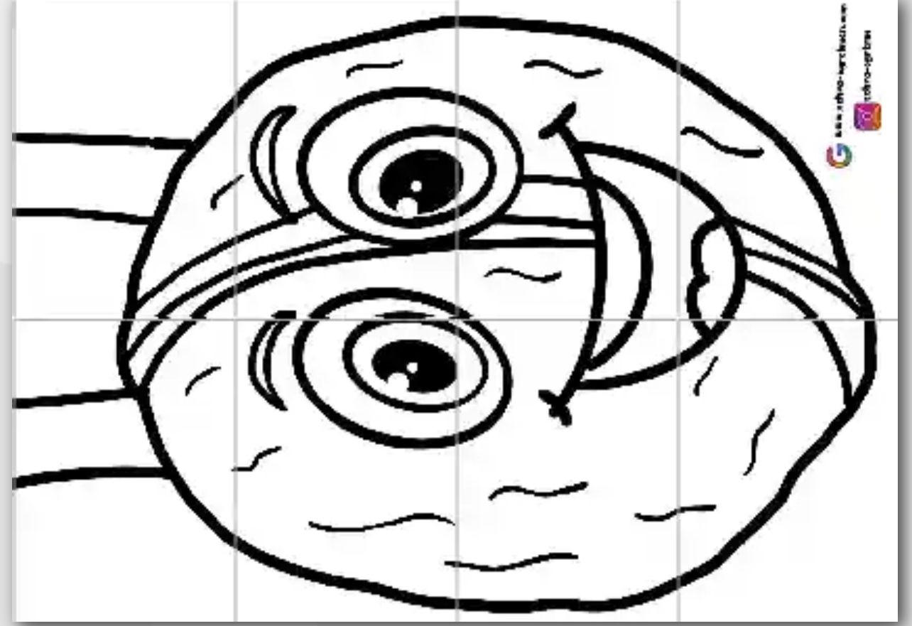 8 A4 Ceviz Kostümü RENKSİZ